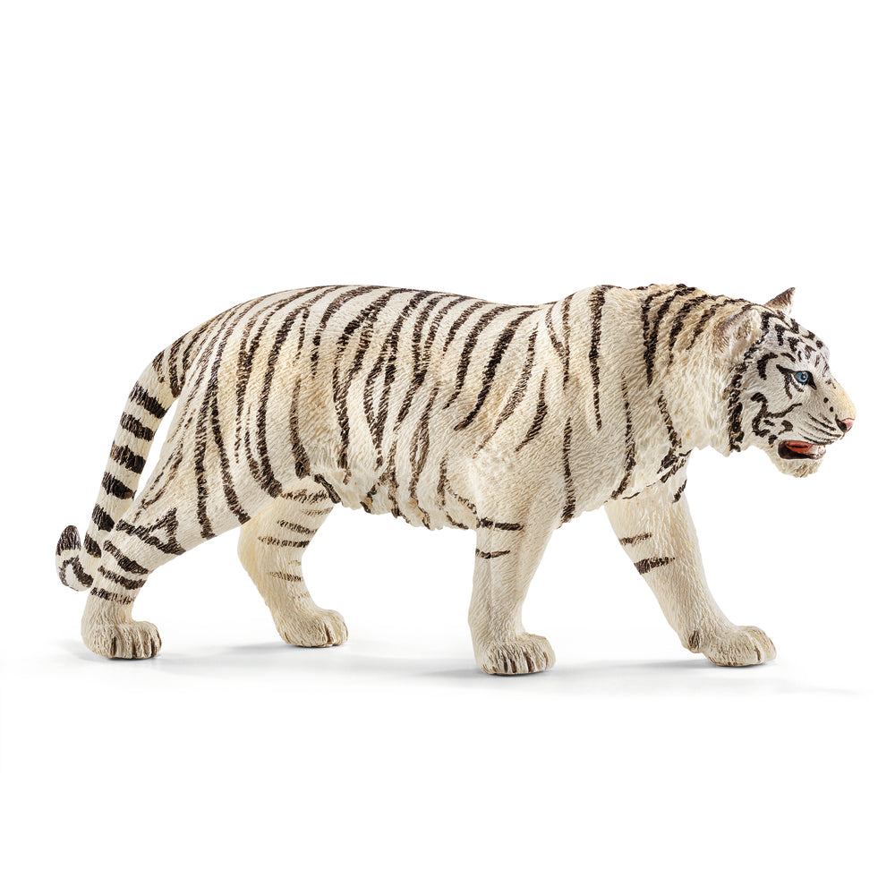 Tiger hvid