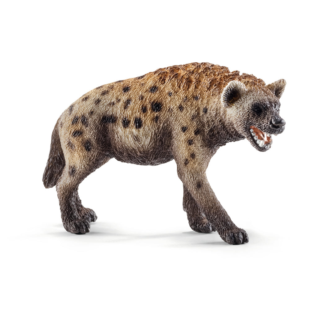 Hyena