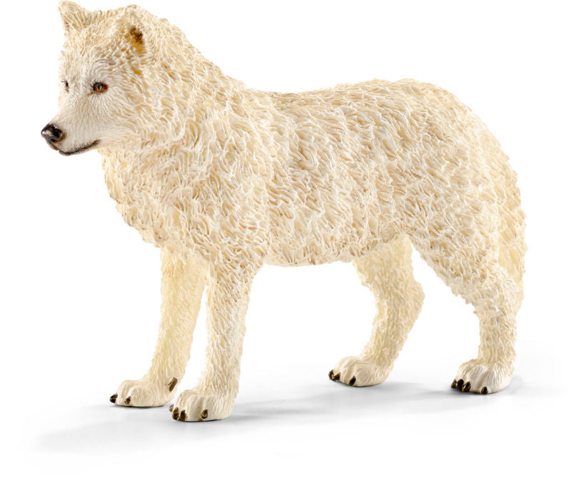 Polarulv