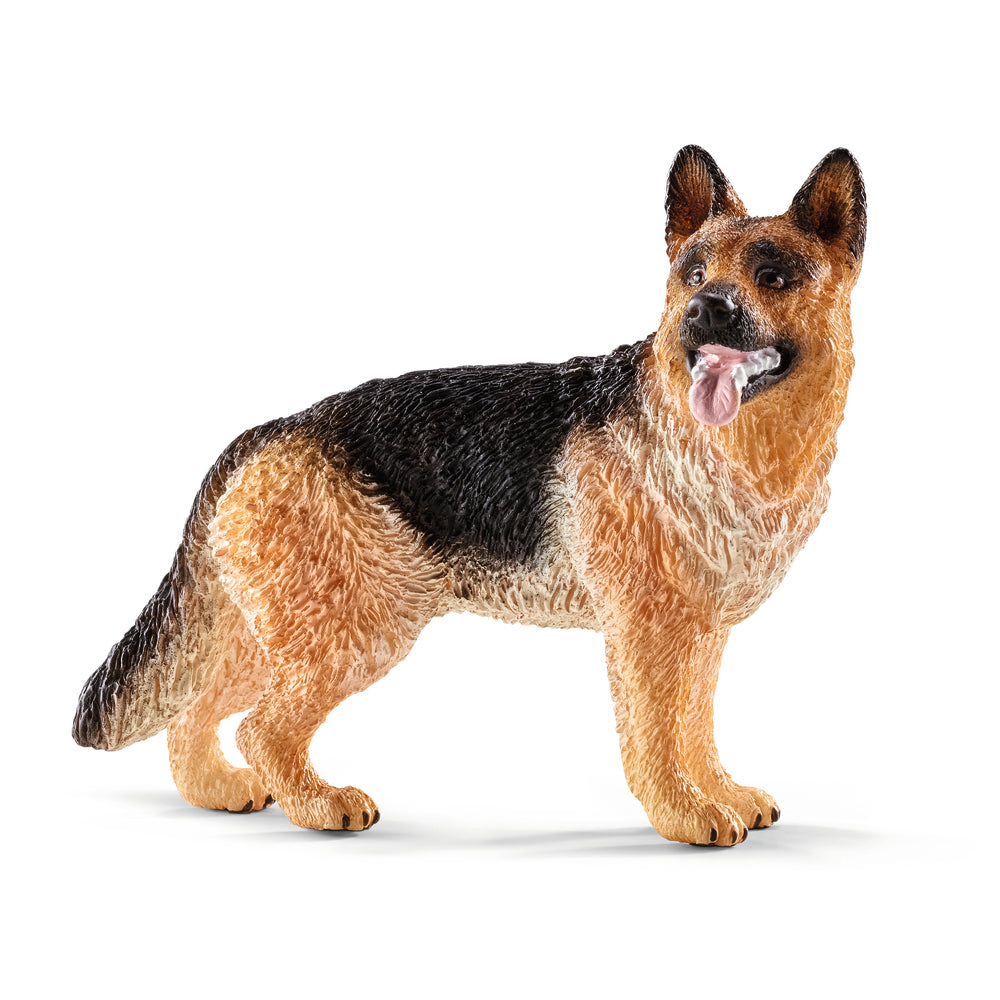 Schæfer