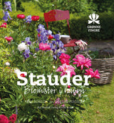 Stauder