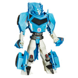 TRANSFORMERS  3-STEP CHANGERS ASS