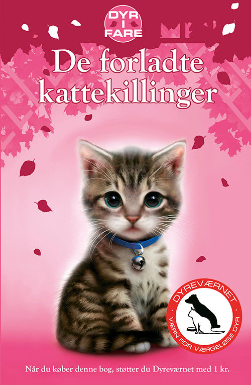 De forladte kattekillinger