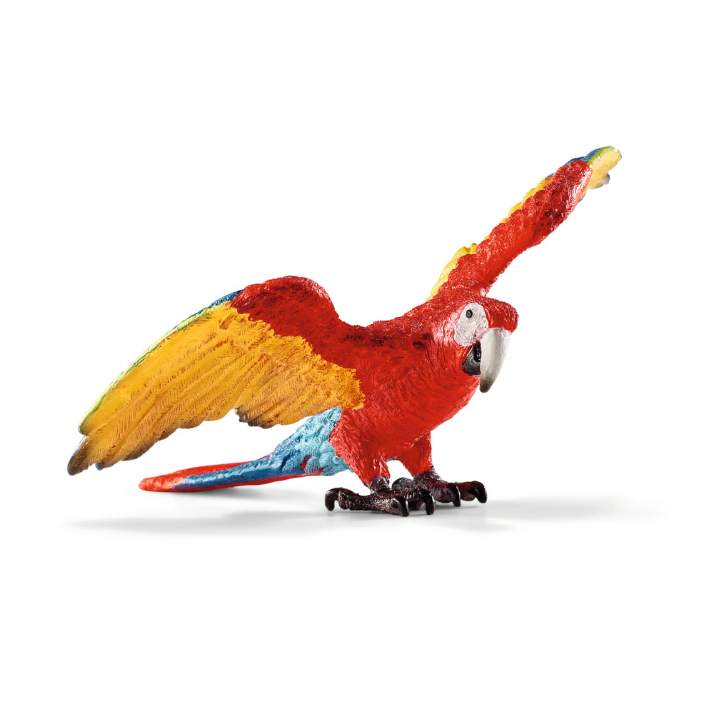 Macaw ara