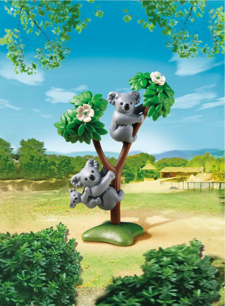 6654 KOALAER MED UNGE