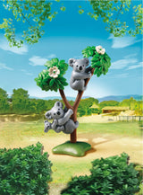 6654 KOALAER MED UNGE