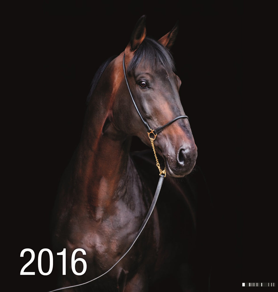KALENDER BILLEDE HESTE 2016