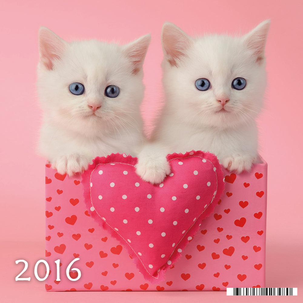 KALENDER BILLEDE LILLE KAT 2016