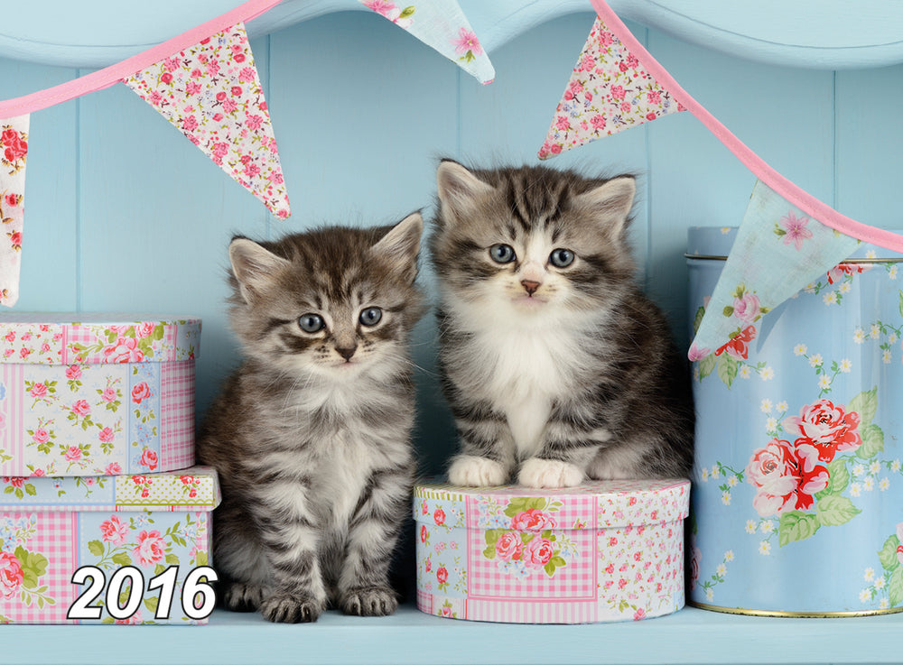 KALENDER 3D KAT 2016