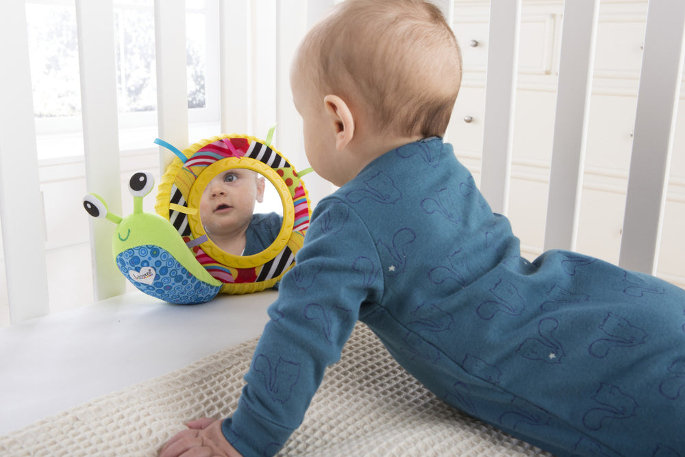 Shine and sound shelly