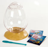 AQUA DRAGONS JURASSIC EGG SPRESS