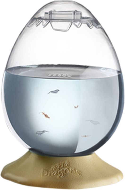 AQUA DRAGONS JURASSIC EGG SPRESS
