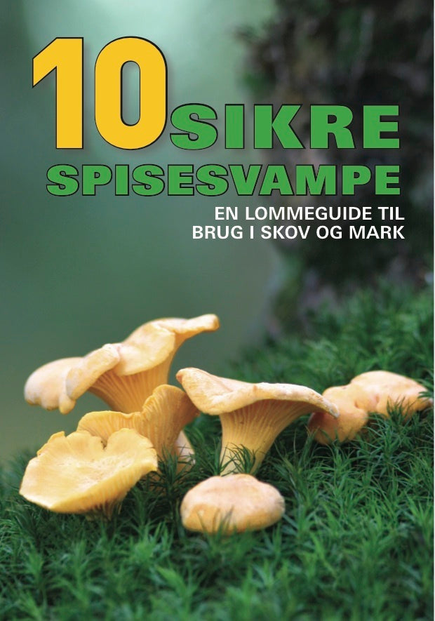 10 sikre spisesvampe