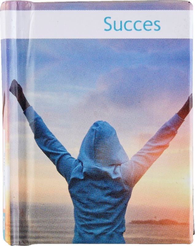 SUCCES