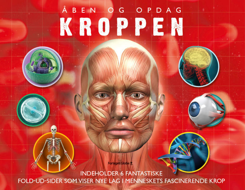 Udforsk-Kroppen