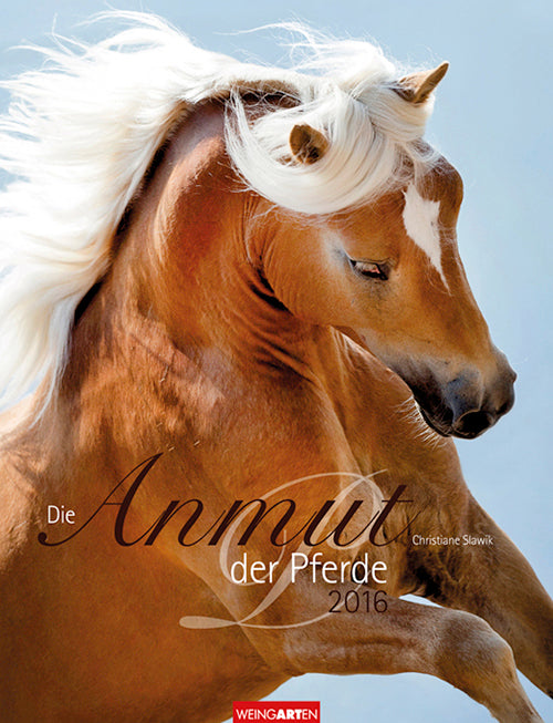 Die Anmut der Pferde