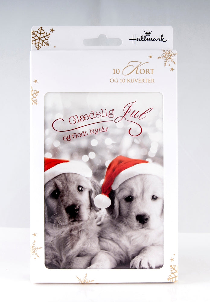 Julekort box hundehvalpe med nissehuer