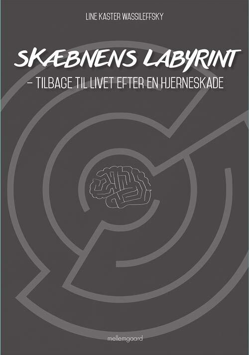 Skæbnens labyrint
