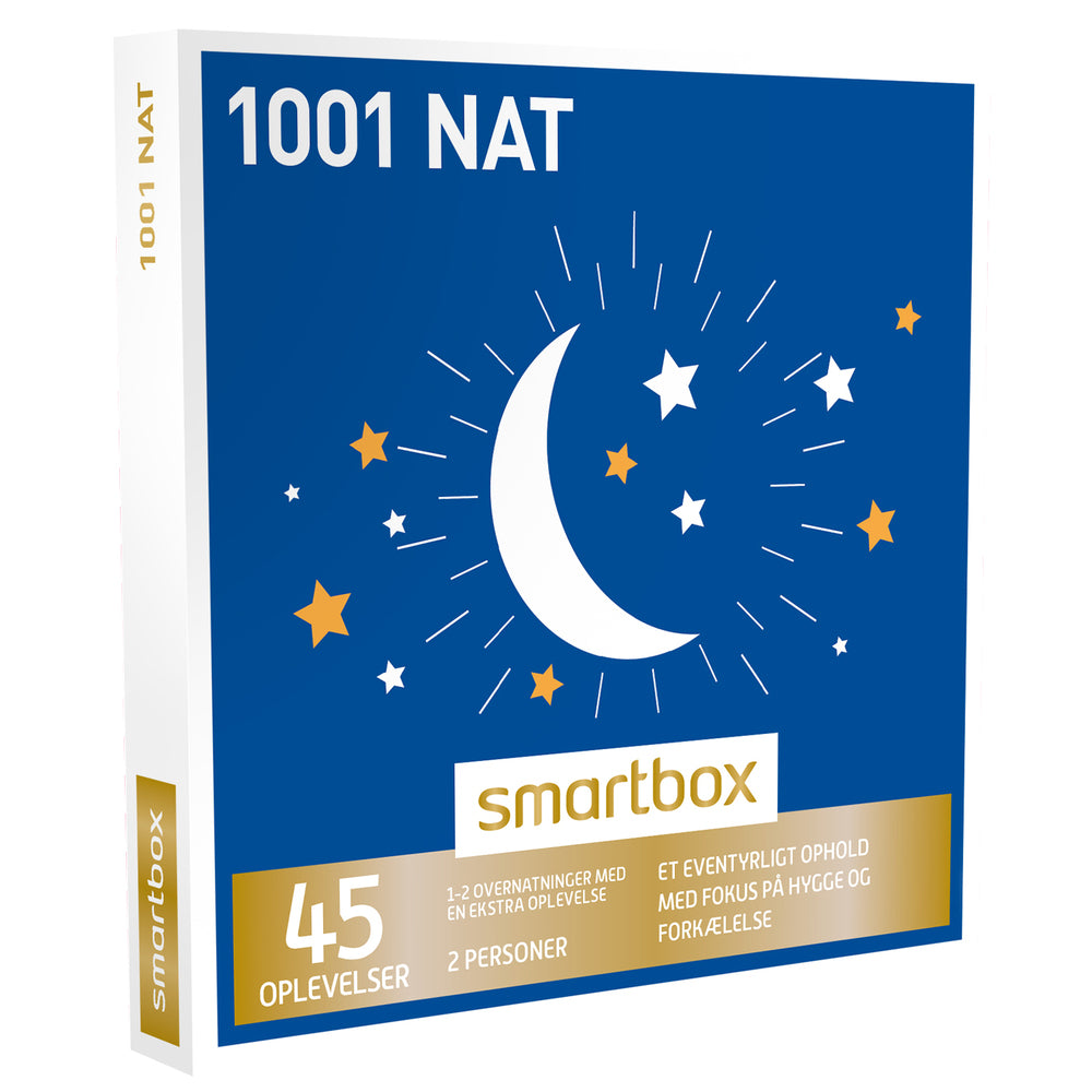 SMARTBOX 1001 NAT