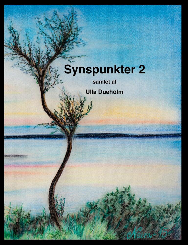 Synspunkter 2