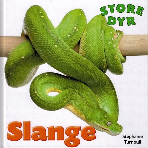 STORE DYR: Slange