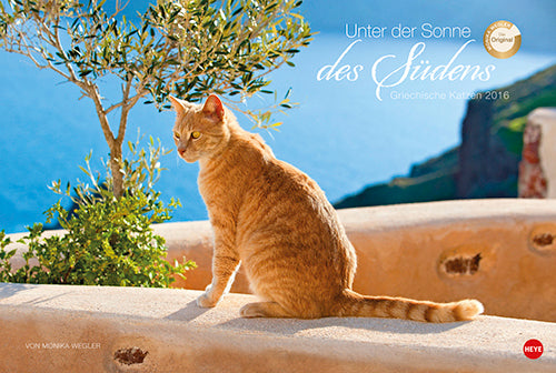 Griechische Katzen - Unter der Sonne des Südens 2016