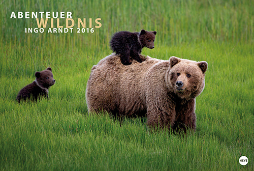 Abenteuer Wildnis 2016