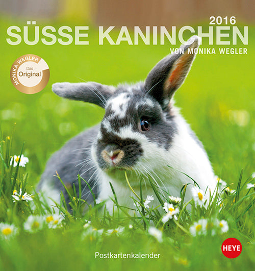 Kaninchen Postkartenkalender 2016