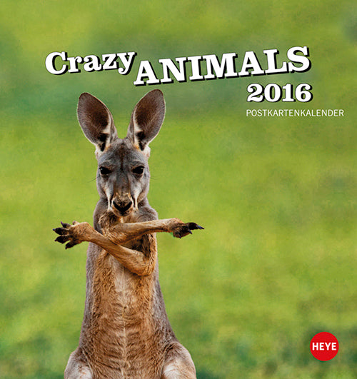 Crazy Animals Postkartenkalender 2016
