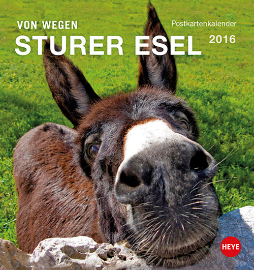 Esel Postkartenkalender 2016