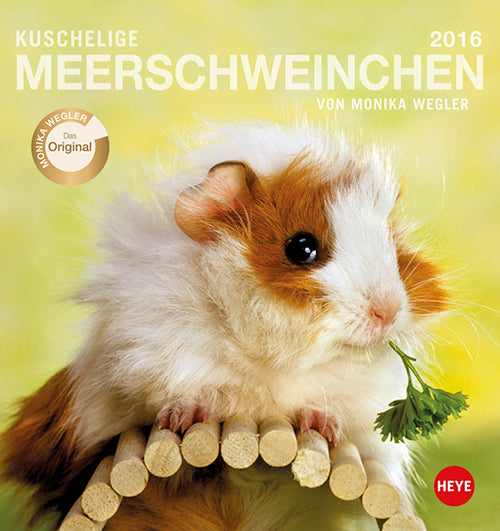 Meerschweinchen Postkartenkalender 2016