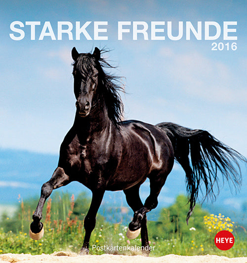 Pferde Postkartenkalender 2016