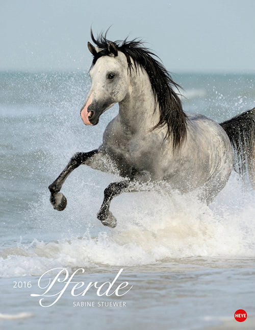 Pferde Classics 2016
