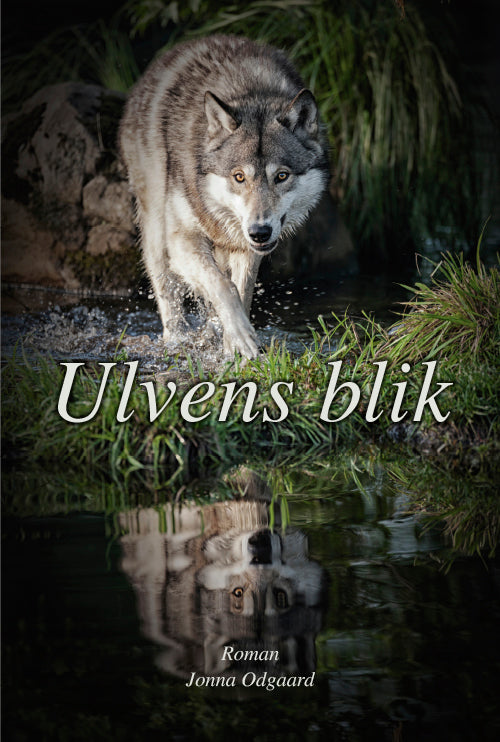 Ulvens blik