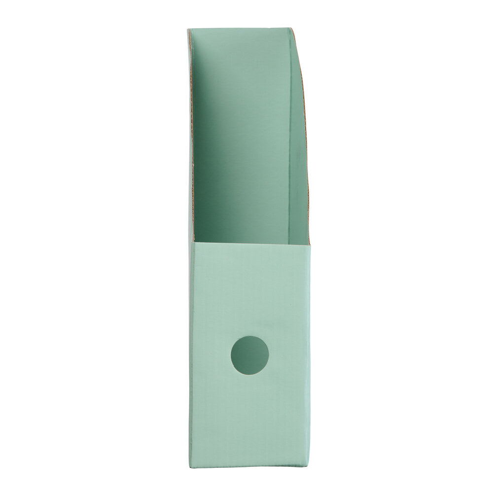 Tidsskriftskassette karton mint A4