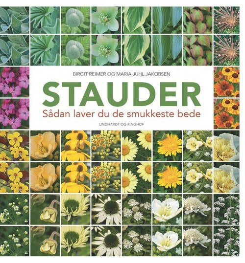 Stauder
