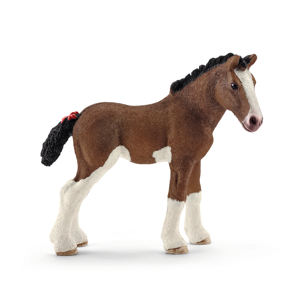Clydesdale føl