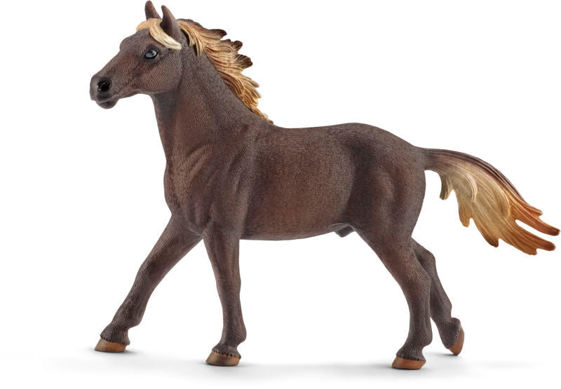Mustang hingst