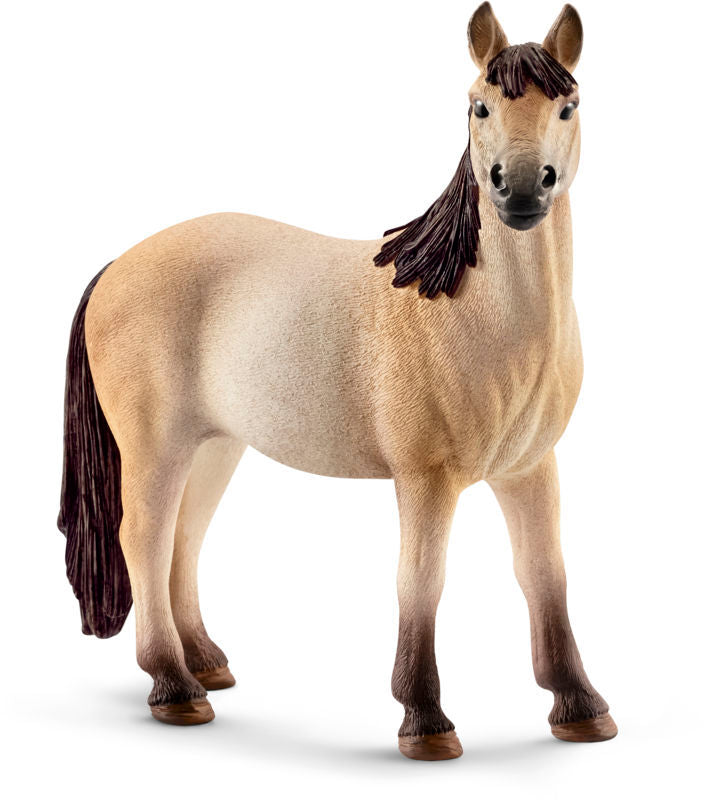 Mustang hoppe