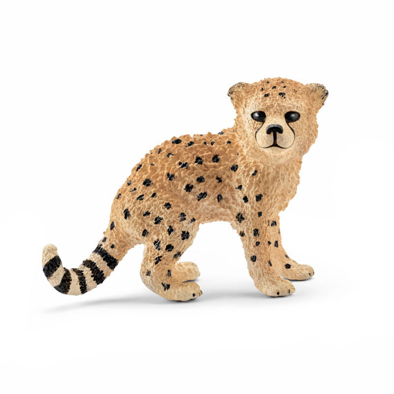 Gepard, unge