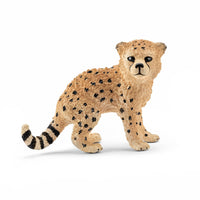 Gepard, unge