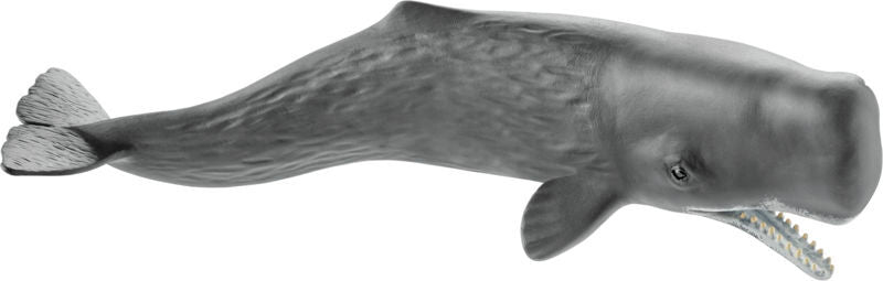Kaskelothval