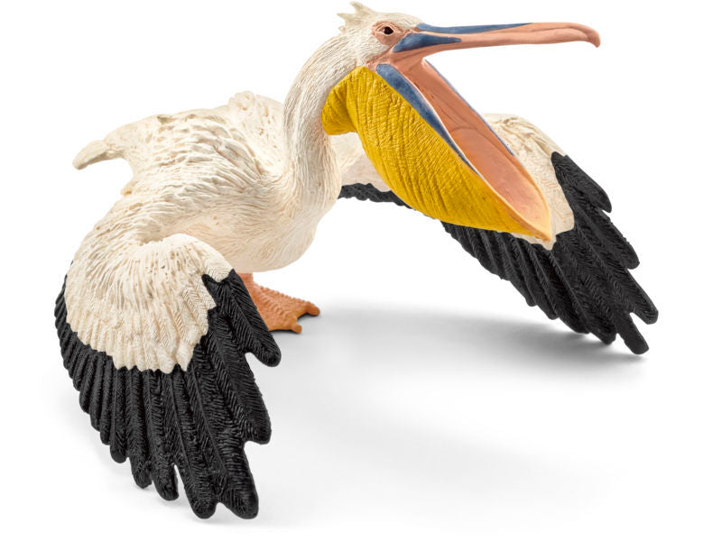 Pelikan