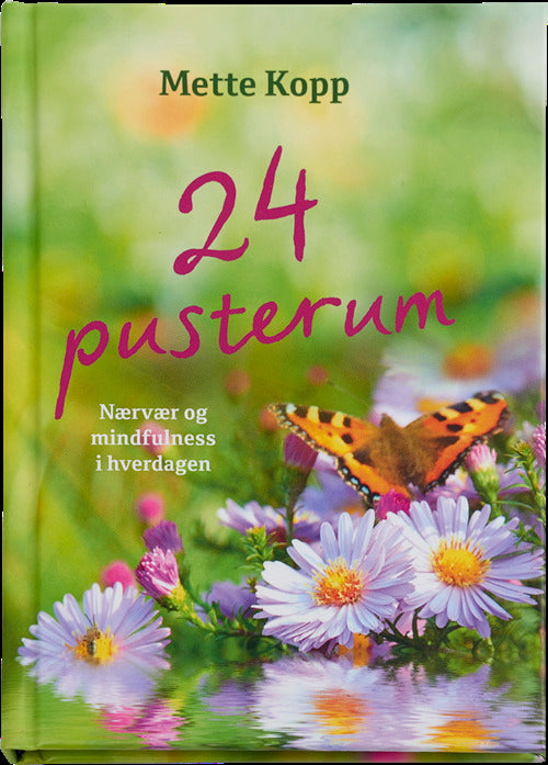 24 pusterum