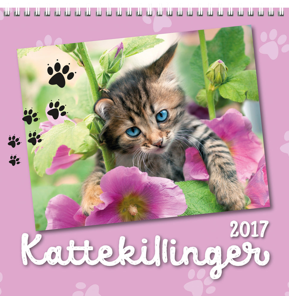 VÆGKALENDER 2017 KATTE 16X16 CM