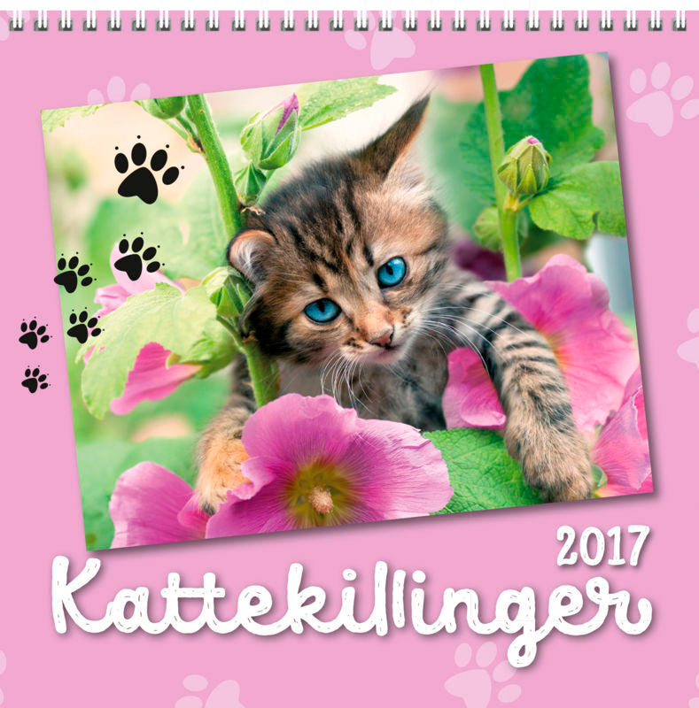 VÆGKALENDER 2017 KATTE 16X16 CM
