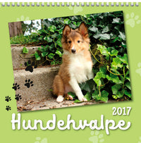 VÆGKALENDER 2017 HUNDE 16X16 CM