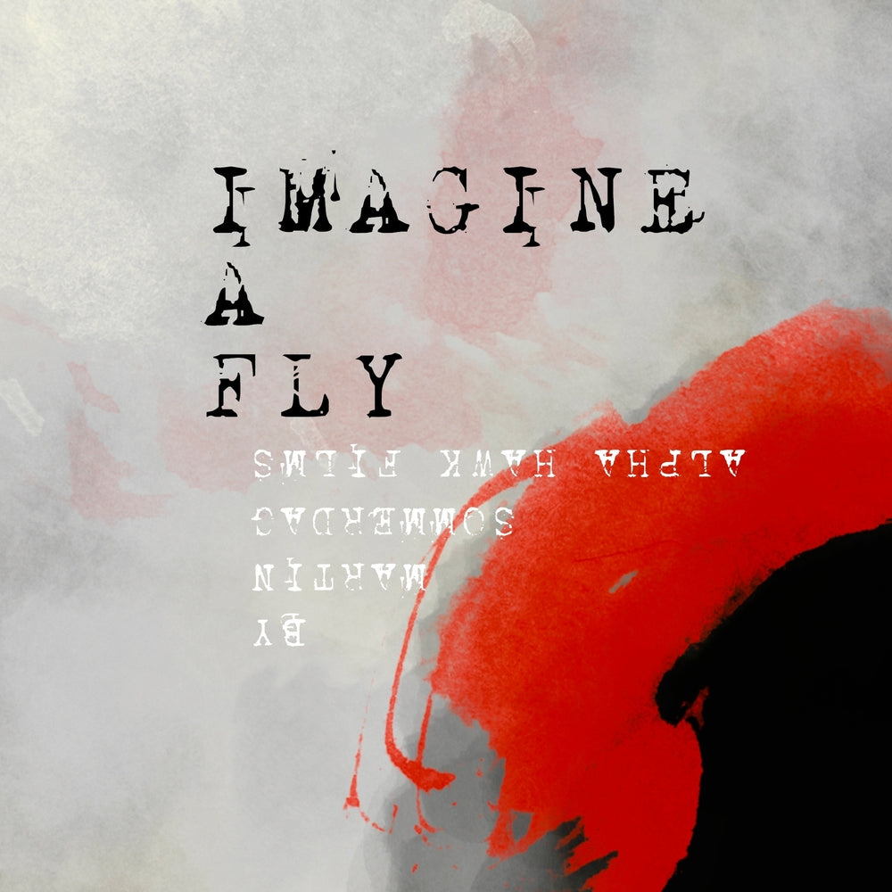 Imagine a fly