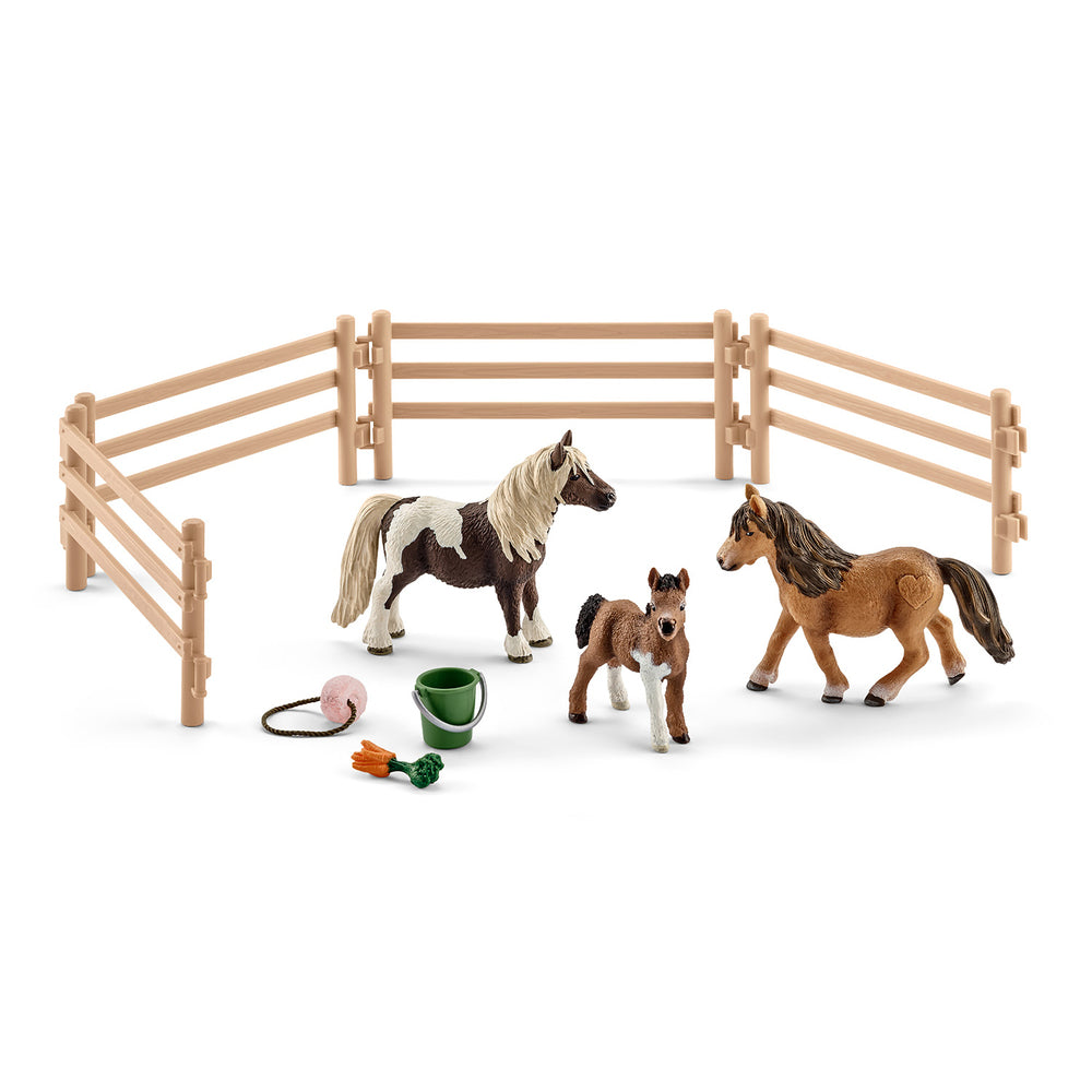 SHETLAND PONY FAMILIE