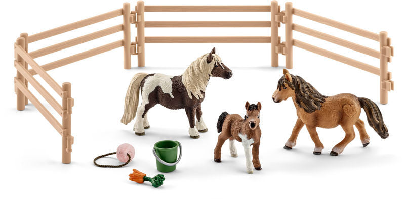 SHETLAND PONY FAMILIE
